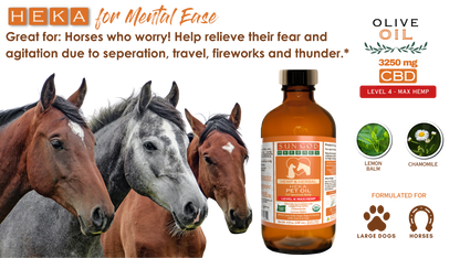 Organic Heka Mental Ease Hemp Pet Oil-Level 4 Max Hemp: for Horses and Large Dogs - SALE